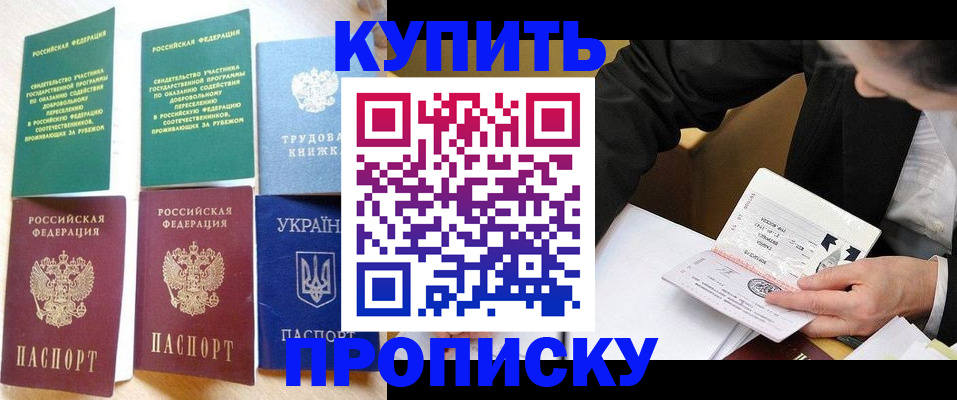 прописка для школы в Великом Новгороде